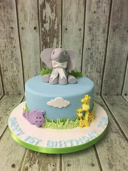 birthday , novelty sports fashion  princess occasional vintage cake Dublin Ireland