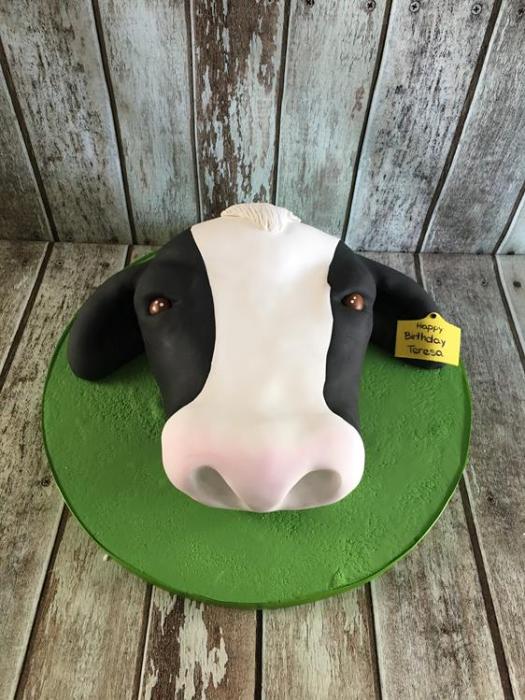 cows head
