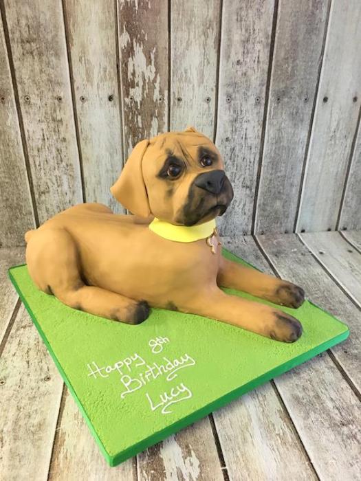 dog birthday cake animal cake mans best friens chocolate biscuit