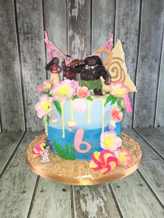 birthday , novelty sports fashion  princess occasional vintage cake Dublin Ireland