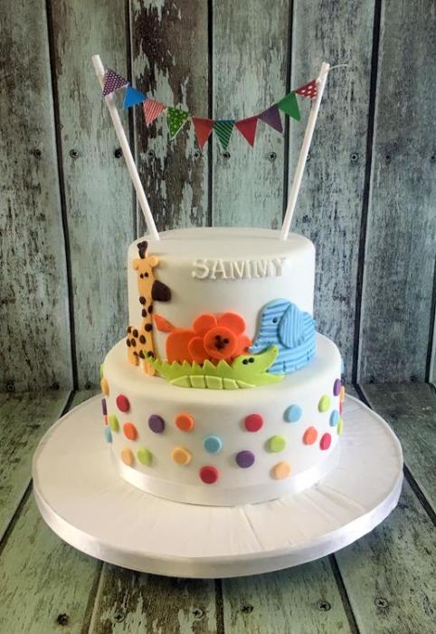 birthday , novelty sports fashion  princess occasional vintage cake Dublin Ireland