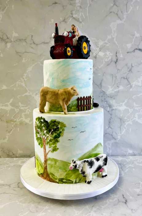 hand painted Farming wedding cake