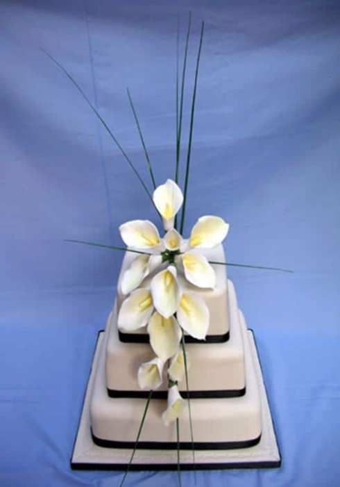 lg_Orla (Copy)