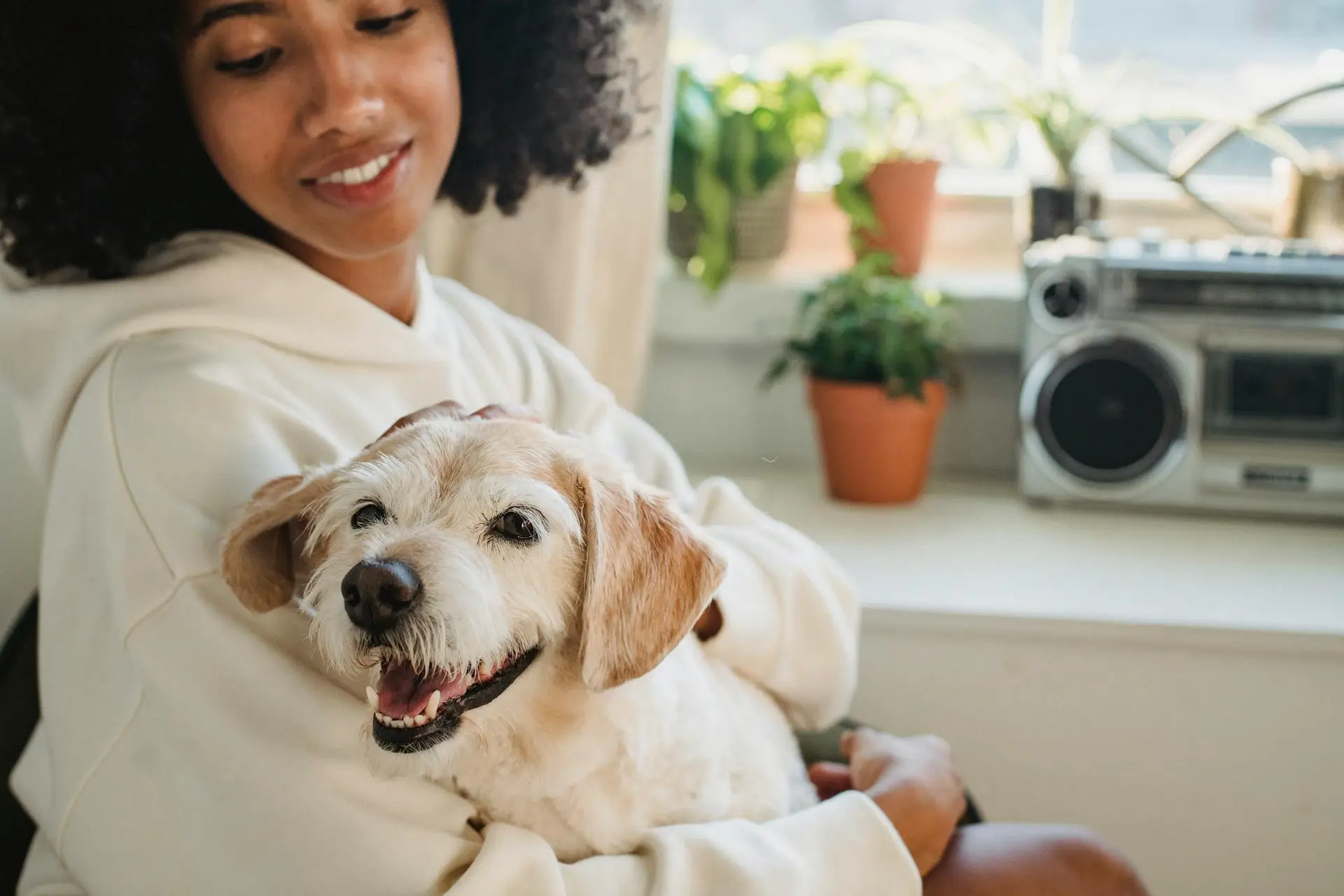 Two-Way Talk GPS Pet Tracker: Call And Talk With Your Pet Anytime
