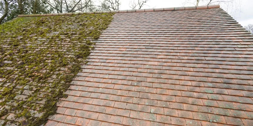 Moss-Free-Roof-Cleaning
