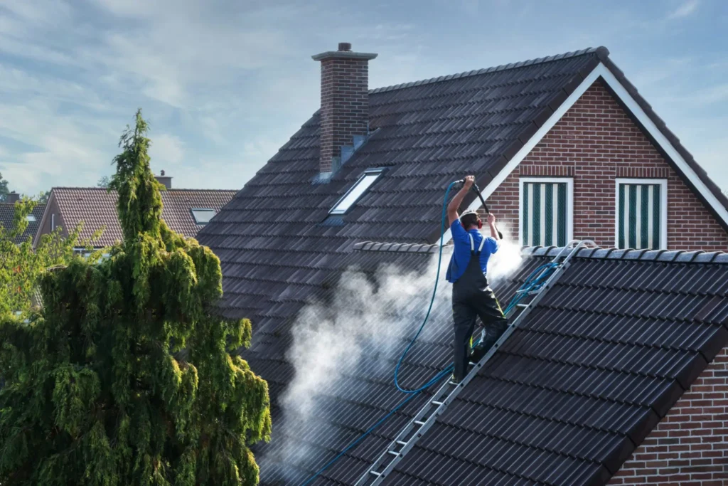 roof cleaning