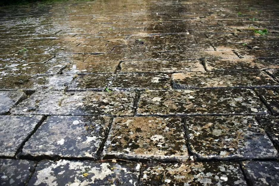 patio black spot removal