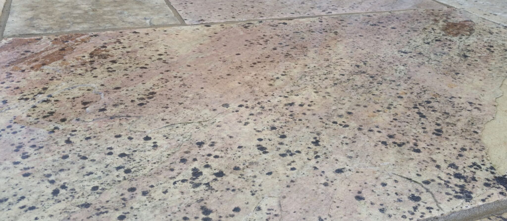 patio black spot cleaning