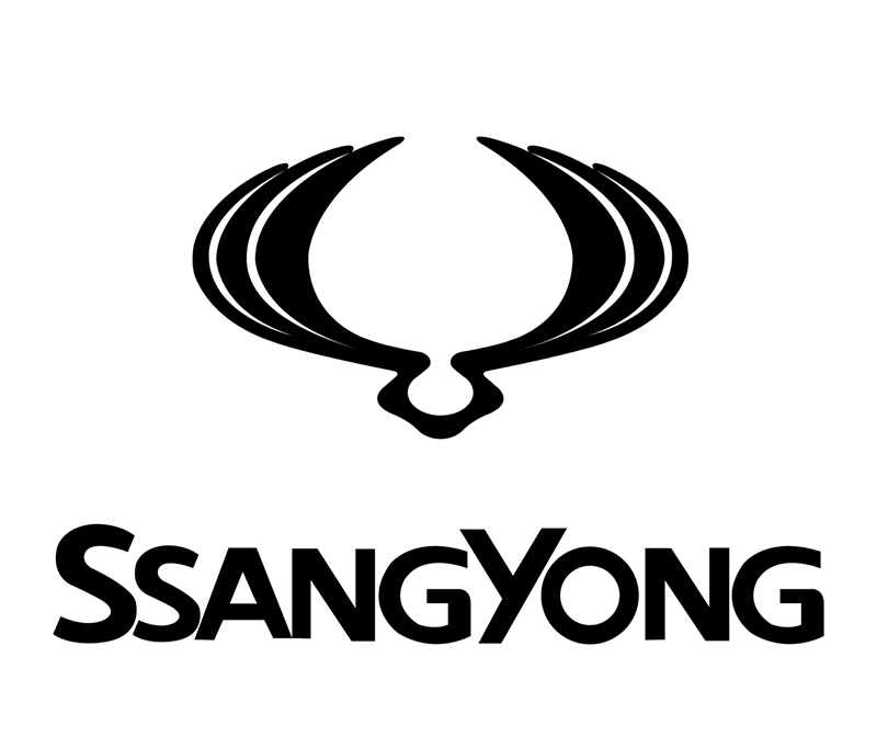 Buy or Sell Ssangyong Van in UK | Ssangyong Logo | Van Force Ltd